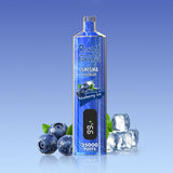 REndM Shisha 25000 Puffs Disposable vape